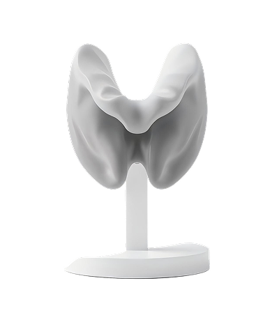 Эндокринология