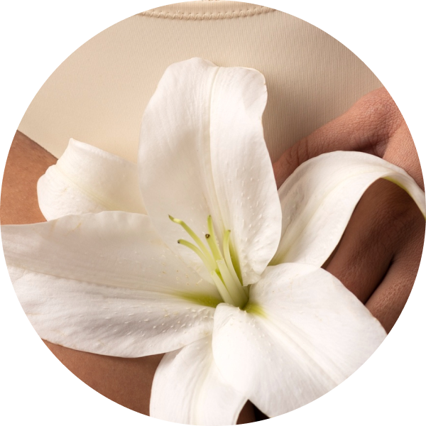 Аугментация тканей половых губ (малая операция)