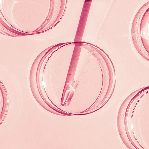 Фемофлор-8 (исследование микрофлоры методом ПЦР, 8 показателей)