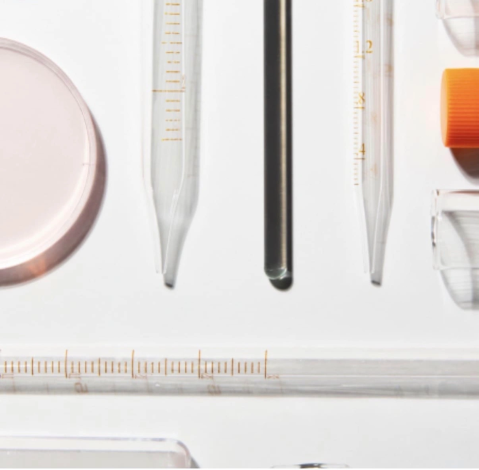 Цитология шейки матки по системе Bethesda (1 стекло, окраска по Лейшману)