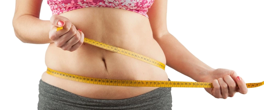 depositphotos_62183737_l_1273.webp depositphotos_62183737_l_1273.webp